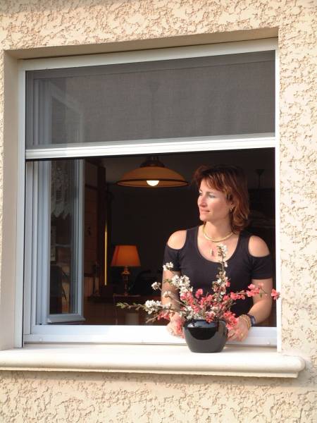 Moustiquaire enroulable verticale