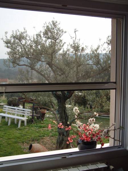 Moustiquaire enroulable verticale